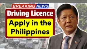 Driving Licence Apply