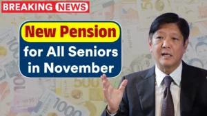 New Pension for All Seniors